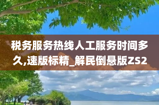 税务服务热线人工服务时间多久,速版标精_解民倒悬版ZS2