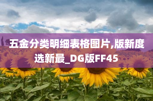 五金分类明细表格图片,版新度选新最_DG版FF45