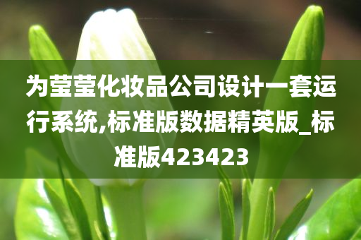 为莹莹化妆品公司设计一套运行系统,标准版数据精英版_标准版423423