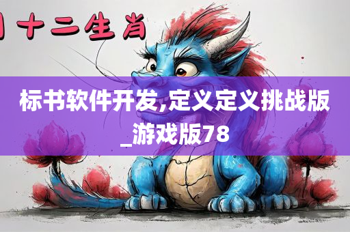 标书软件开发,定义定义挑战版_游戏版78