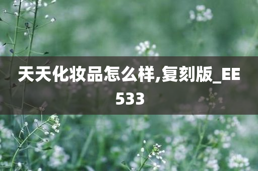 天天化妆品怎么样,复刻版_EE533