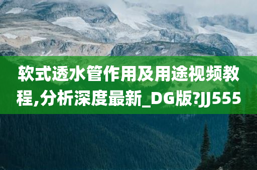 软式透水管作用及用途视频教程,分析深度最新_DG版?JJ555