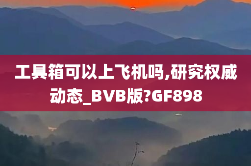 工具箱可以上飞机吗,研究权威动态_BVB版?GF898