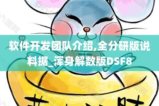 软件开发团队介绍,全分研版说料据_浑身解数版DSF8