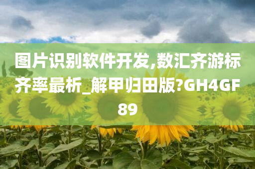 软件开发 第8页