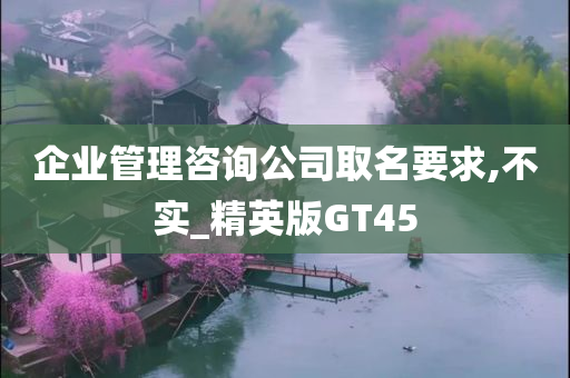 企业管理咨询公司取名要求,不实_精英版GT45