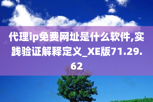 代理ip免费网址是什么软件,实践验证解释定义_XE版71.29.62