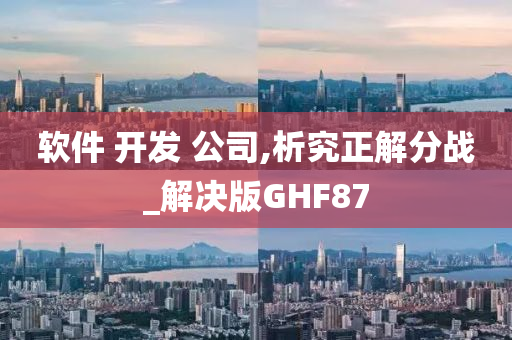 软件 开发 公司,析究正解分战_解决版GHF87