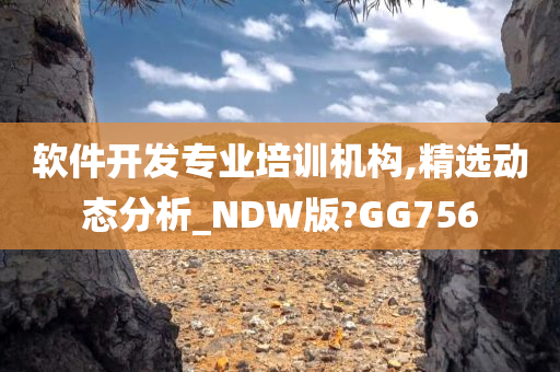 软件开发专业培训机构,精选动态分析_NDW版?GG756