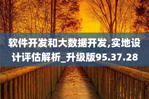 软件开发和大数据开发,实地设计评估解析_升级版95.37.28