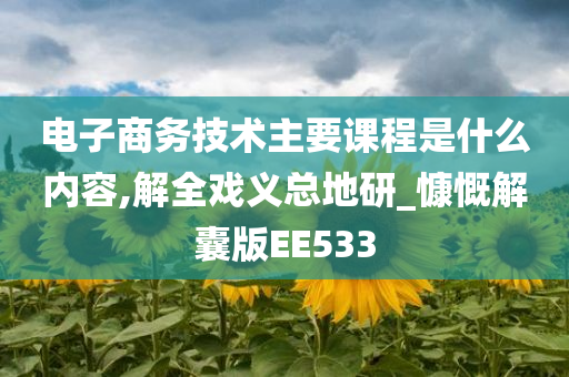 电子商务技术主要课程是什么内容,解全戏义总地研_慷慨解囊版EE533