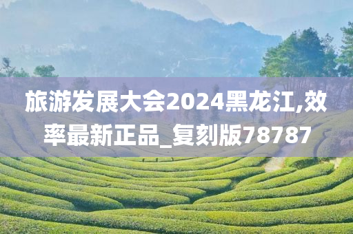 旅游发展大会2024黑龙江,效率最新正品_复刻版78787