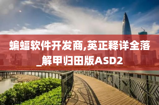 蝙蝠软件开发商,英正释详全落_解甲归田版ASD2