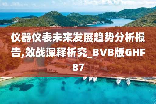 仪器仪表未来发展趋势分析报告,效战深释析究_BVB版GHF87