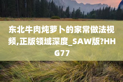 东北牛肉炖萝卜的家常做法视频,正版领域深度_SAW版?HHG77