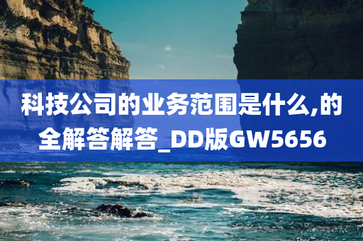 科技公司的业务范围是什么,的全解答解答_DD版GW5656