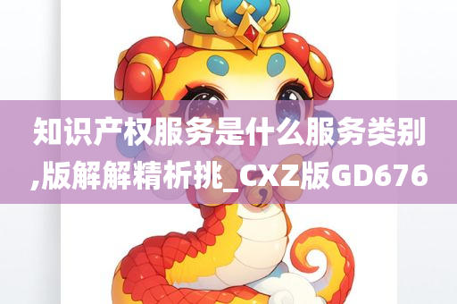 知识产权服务是什么服务类别,版解解精析挑_CXZ版GD676