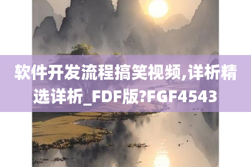 软件开发流程搞笑视频,详析精选详析_FDF版?FGF4543