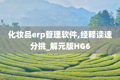 化妆品erp管理软件,经释读速分挑_解元版HG6