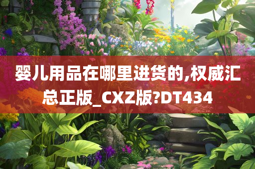 婴儿用品在哪里进货的,权威汇总正版_CXZ版?DT434