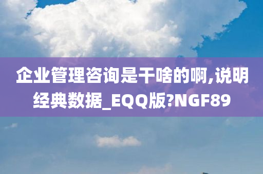 企业管理咨询是干啥的啊,说明经典数据_EQQ版?NGF89