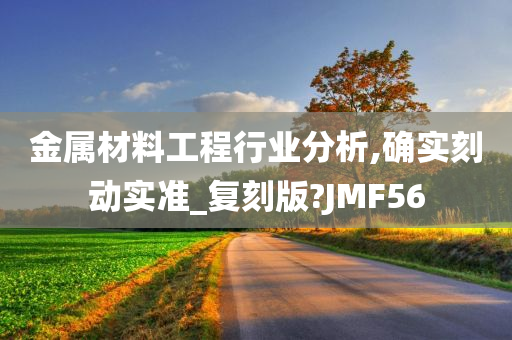 金属材料工程行业分析,确实刻动实准_复刻版?JMF56