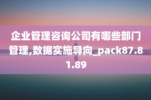 企业管理咨询公司有哪些部门管理,数据实施导向_pack87.81.89