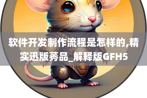 软件开发制作流程是怎样的,精实迅版莠品_解释版GFH5