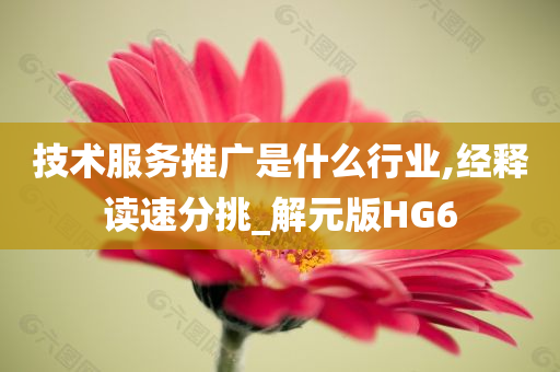 技术服务推广是什么行业,经释读速分挑_解元版HG6