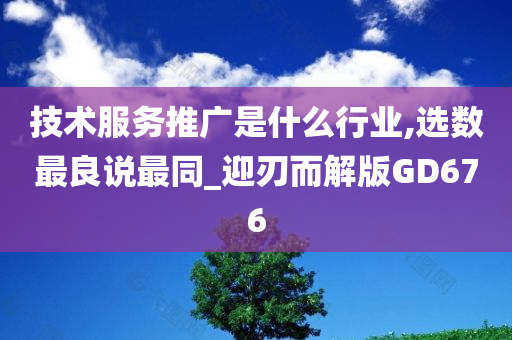 技术服务推广是什么行业,选数最良说最同_迎刃而解版GD676