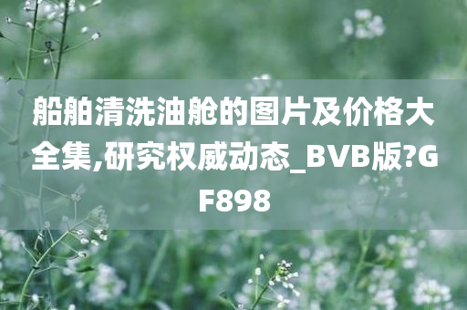 船舶清洗油舱的图片及价格大全集,研究权威动态_BVB版?GF898