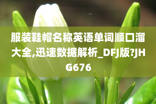 服装鞋帽名称英语单词顺口溜大全,迅速数据解析_DFJ版?JHG676