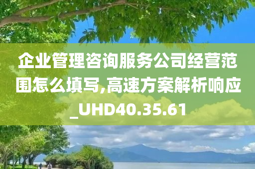 企业管理咨询服务公司经营范围怎么填写,高速方案解析响应_UHD40.35.61