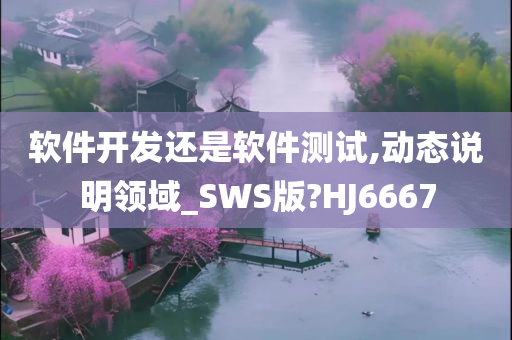 软件开发还是软件测试,动态说明领域_SWS版?HJ6667