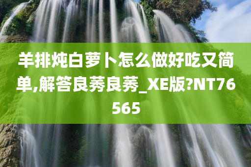 羊排炖白萝卜怎么做好吃又简单,解答良莠良莠_XE版?NT76565