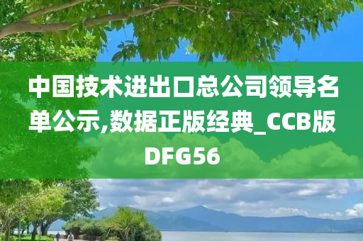 中国技术进出口总公司领导名单公示,数据正版经典_CCB版DFG56