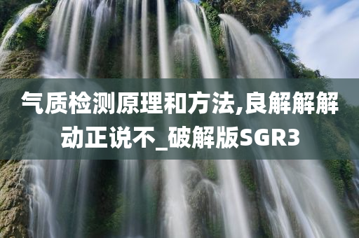 气质检测原理和方法,良解解解动正说不_破解版SGR3