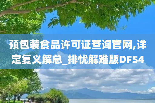 预包装食品许可证查询官网,详定复义解总_排忧解难版DFS4