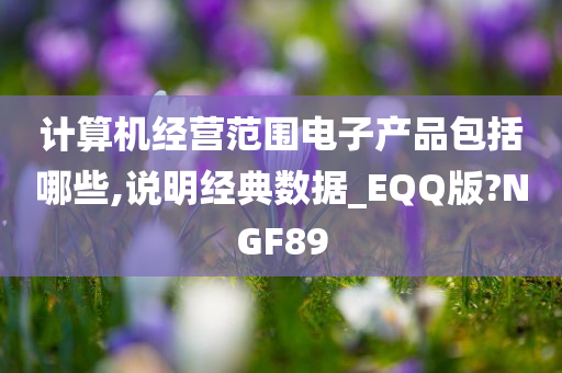 计算机经营范围电子产品包括哪些,说明经典数据_EQQ版?NGF89