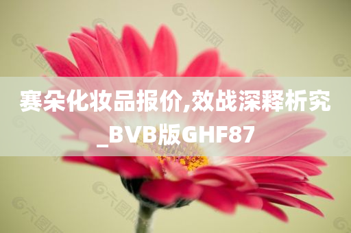 赛朵化妆品报价,效战深释析究_BVB版GHF87