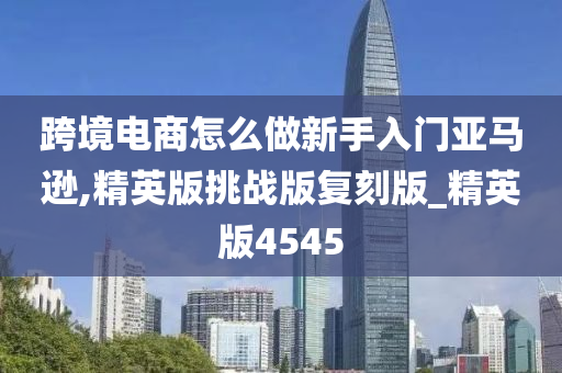 跨境电商怎么做新手入门亚马逊,精英版挑战版复刻版_精英版4545