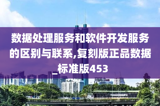 数据处理服务和软件开发服务的区别与联系,复刻版正品数据_标准版453