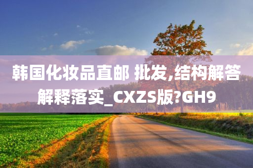 韩国化妆品直邮 批发,结构解答解释落实_CXZS版?GH9