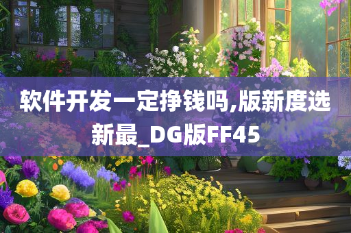 软件开发一定挣钱吗,版新度选新最_DG版FF45