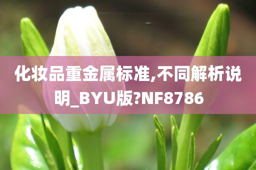 化妆品重金属标准,不同解析说明_BYU版?NF8786