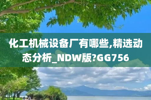 化工机械设备厂有哪些,精选动态分析_NDW版?GG756