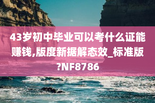 43岁初中毕业可以考什么证能赚钱,版度新据解态效_标准版?NF8786