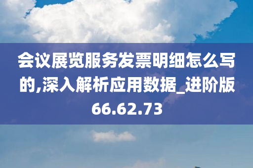 会议展览服务发票明细怎么写的,深入解析应用数据_进阶版66.62.73