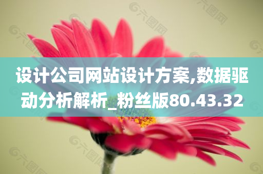 设计公司网站设计方案,数据驱动分析解析_粉丝版80.43.32