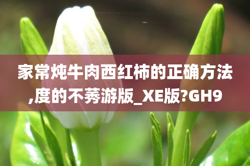 家常炖牛肉西红柿的正确方法,度的不莠游版_XE版?GH9